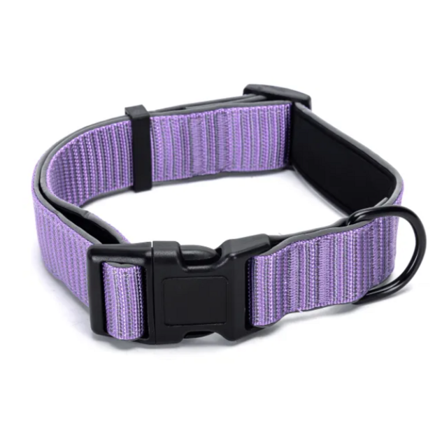 reflexný obojok fialový 4 cm-